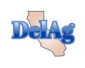 DelAg  entry by Buinessshoes