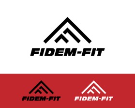 FIDEM-FIT entry by RGR design