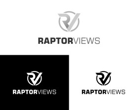 RaptorViews entry by paragraphikadesigns