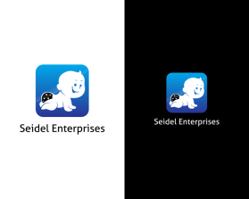 Seidel Enterprises - currently in stealth mode entry by Anglo Saxon