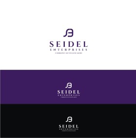 Seidel Enterprises - currently in stealth mode entry by osman36