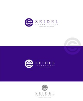 Seidel Enterprises - currently in stealth mode entry by rehnuma360