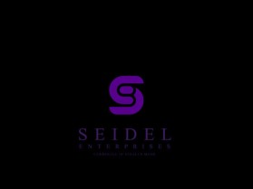 Seidel Enterprises - currently in stealth mode entry by rehnuma360