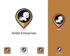 Seidel Enterprises - currently in stealth mode entry by Anglo Saxon