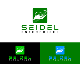 Seidel Enterprises - currently in stealth mode entry by MyLess