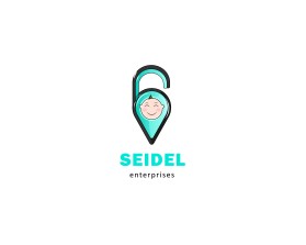 Seidel Enterprises - currently in stealth mode entry by Magnitude