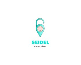 Seidel Enterprises - currently in stealth mode entry by Magnitude