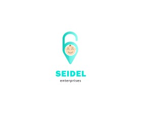 Seidel Enterprises - currently in stealth mode entry by Magnitude