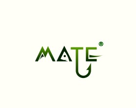 Mate entry by torch