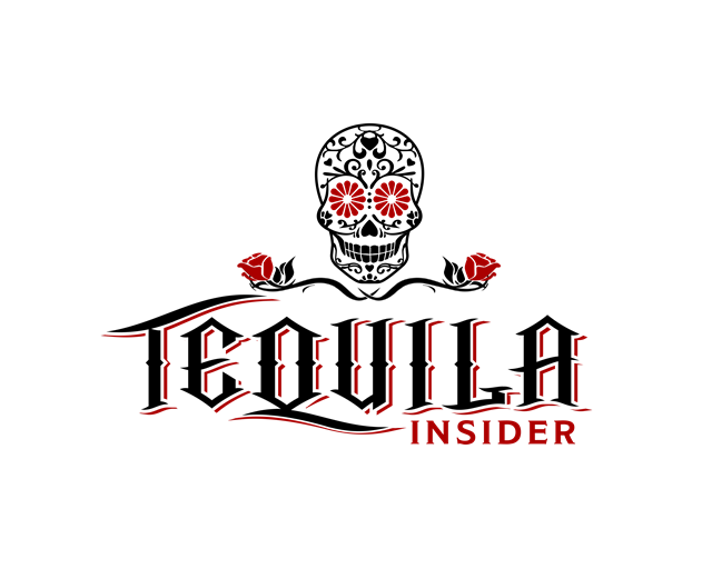Fun Skull Logo