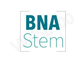 BNA Stem entry by vwise100