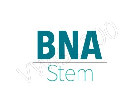 BNA Stem entry by vwise100