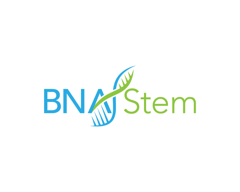 Logo Design for BNA Stem