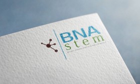 BNA Stem entry by Loisa Marsala