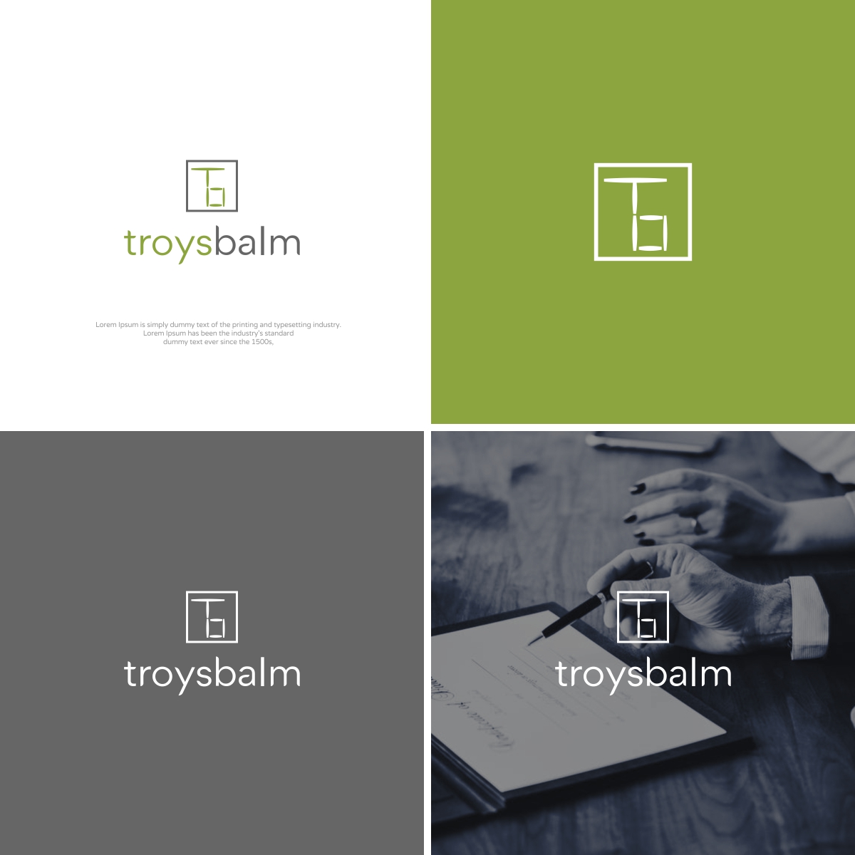 Logo Design for troysbalm