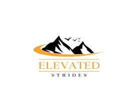 Elevated Strides entry by Rangrej Akil Mohammed Rafik
