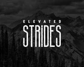 Elevated Strides entry by nagasuresh.m