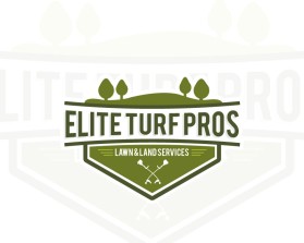 Elite Turf Pros entry by beekitty7