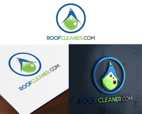 Roofcleaner.com entry by carottart