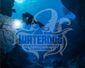 Waterdog Photography entry by Eleonore Krizia O. Esclamado