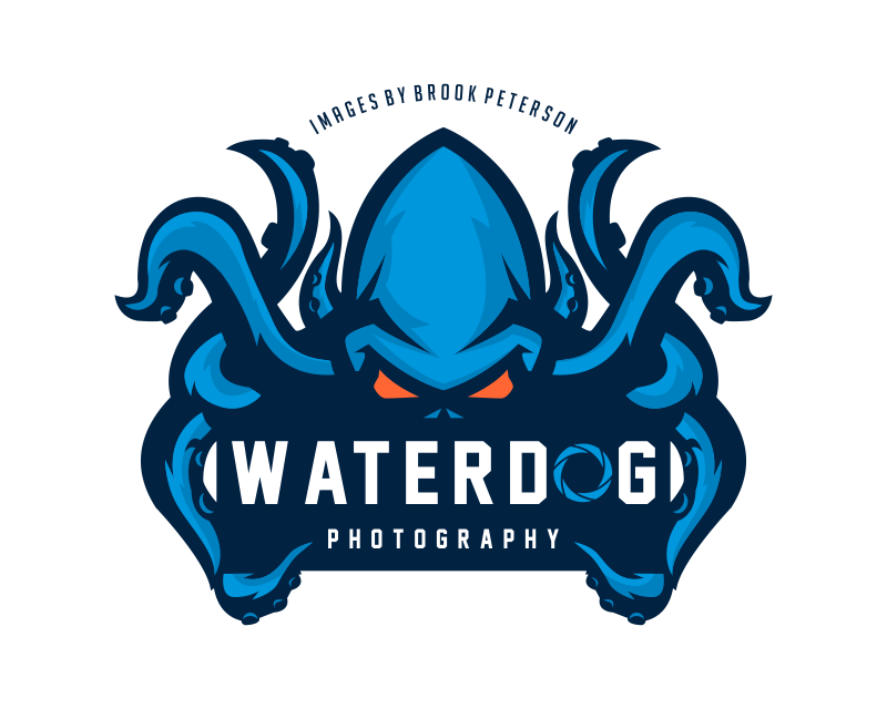 Octopus Logo Design