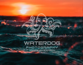 Waterdog Photography entry by Eleonore Krizia O. Esclamado