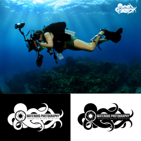 Waterdog Photography entry by Agus Septian
