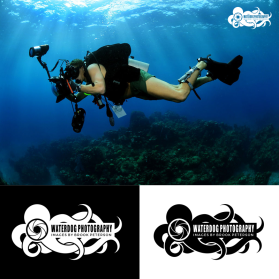 Waterdog Photography entry by Agus Septian