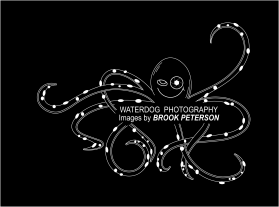 Waterdog Photography entry by Mariia Beliaeva
