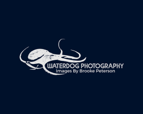 Waterdog Photography entry by David Field