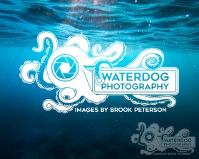 Waterdog Photography entry by Jo Vincent Bonifacio