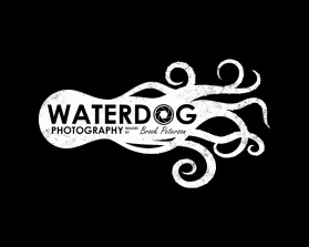 Waterdog Photography entry by Neeraj Bhalla