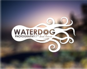 Waterdog Photography entry by Neeraj Bhalla