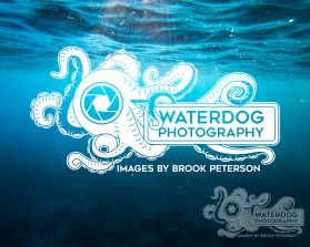 Waterdog Photography entry by Jo Vincent Bonifacio