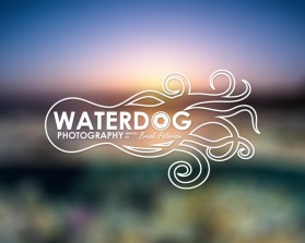 Waterdog Photography entry by Neeraj Bhalla
