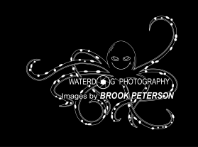 Waterdog Photography entry by Mariia Beliaeva