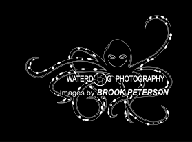 Waterdog Photography entry by Mariia Beliaeva