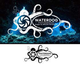 Waterdog Photography entry by puji wahyono
