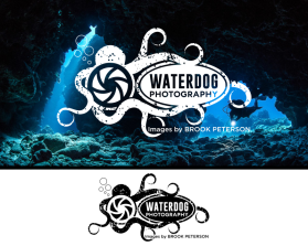 Waterdog Photography entry by puji wahyono