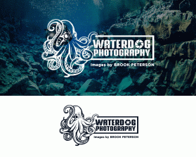 Photography Logos design