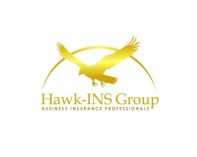 Hawk-INS Group entry by 20_design