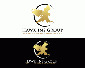 Hawk-INS Group entry by dsdezign