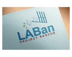 LABan Project Rescue entry by Niels