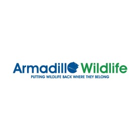 Armadillo Wildlife  entry by gurita13