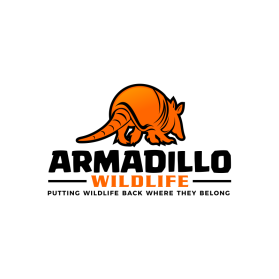  Armadillo Wildlife  entry by agus57septian67
