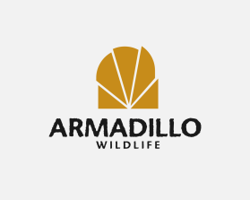  Armadillo Wildlife  entry by designr