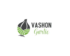 Vashon Garlic entry by Amit Kumar