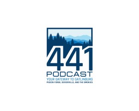 441 Podcast entry by Amit1991