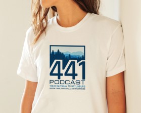 441 Podcast entry by Amit1991
