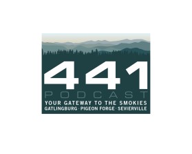 441 Podcast entry by quimcey